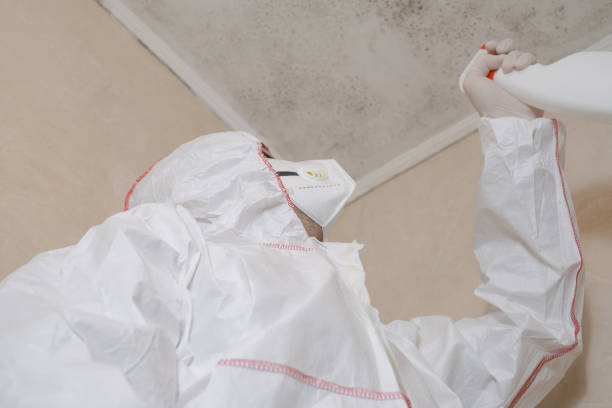 Kinsey, AL Mold Remediation Company